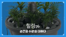 [담따] 힐링76/집안의 식물 청정 가습기/개업선물용 인테리어